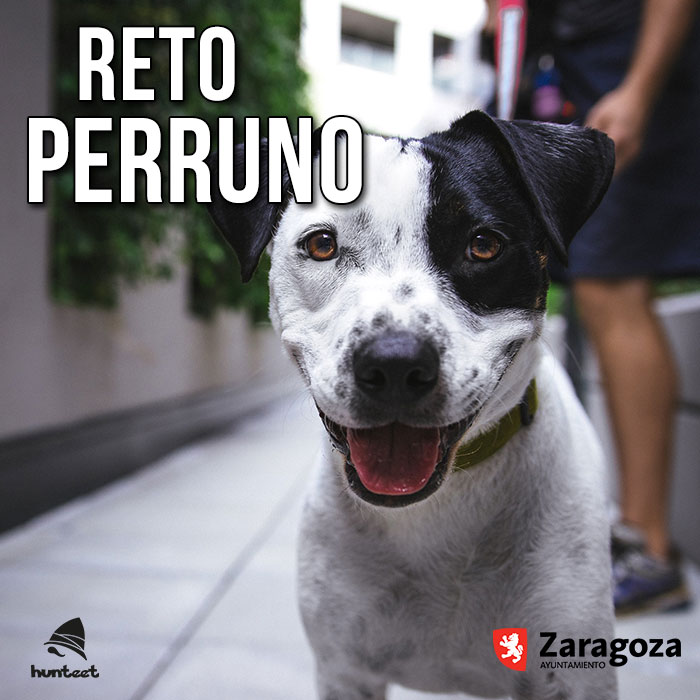 Reto Perruno en la app gratis de Hunteet organizado por Zarapeluda 2017, sube una foto con tu perro, ¡y gana premios!