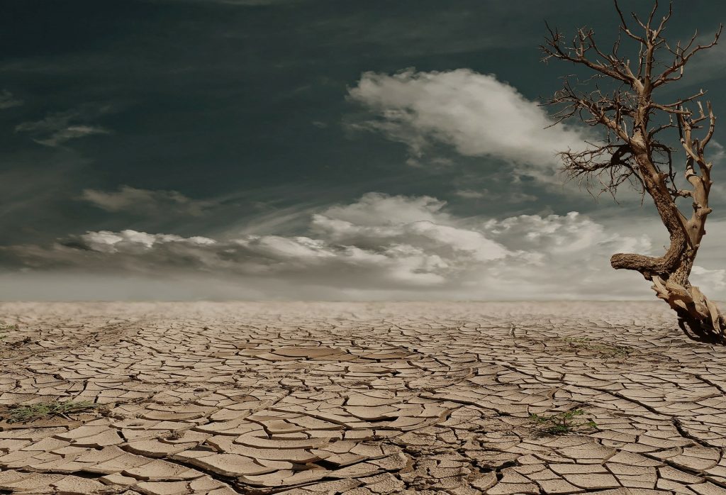 El cambio climático trae sequía y por eso ECODES junto a Hunteet te retan a que subas una foto sobre el cambio climático y gana premios